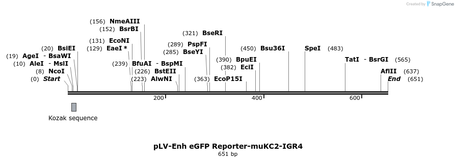95753_map