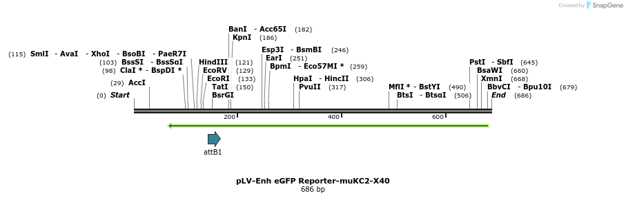 95759_map