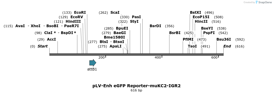 95761_map