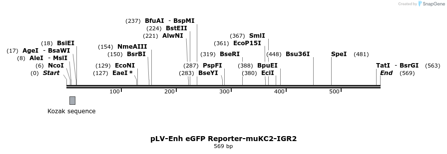 95762_map