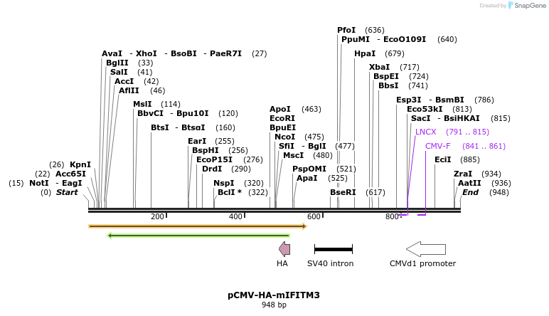 95764_map