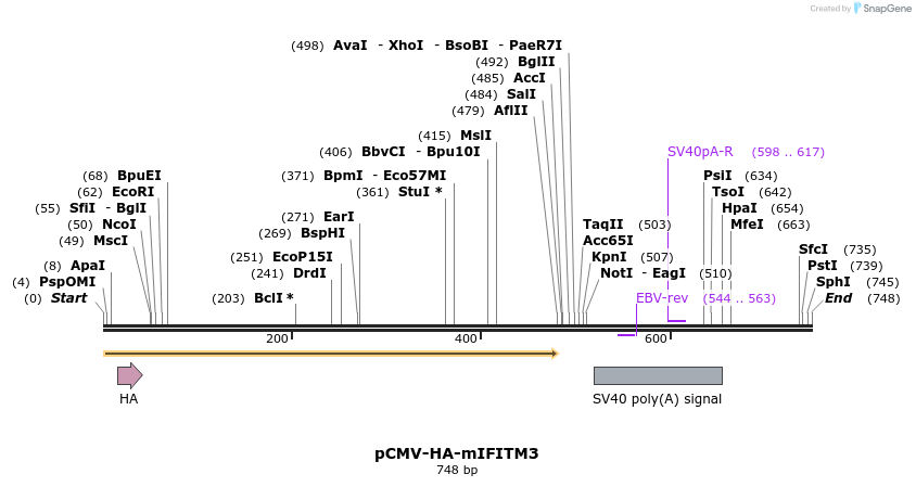 95765_map