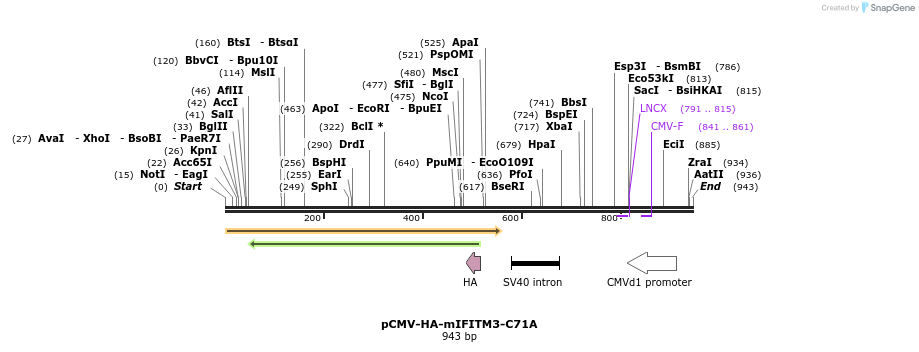 95766_map