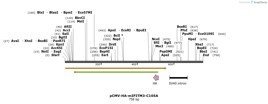 95771_map