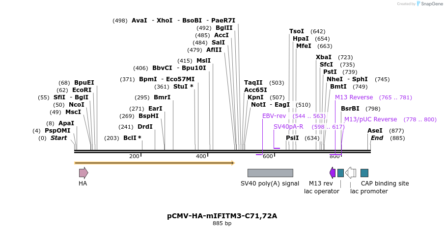 95772_map