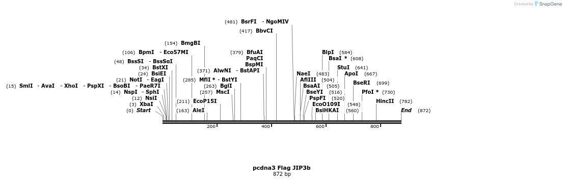95776_map