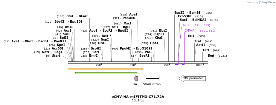 95777_map