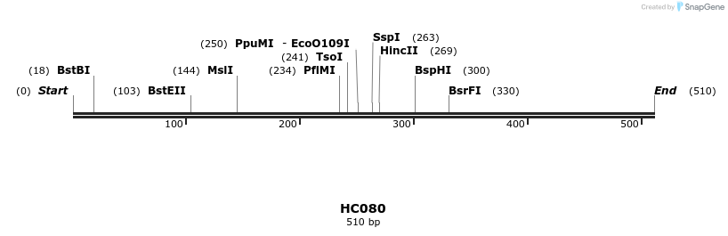 95781_map