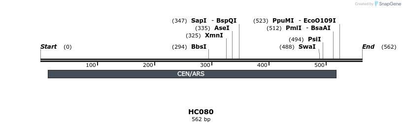 95784_map