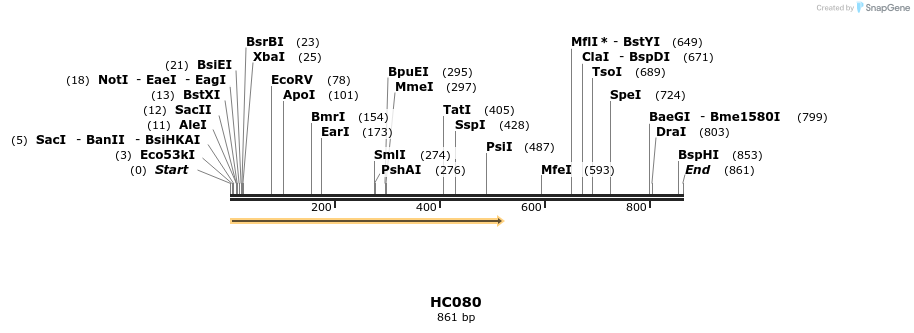 95787_map