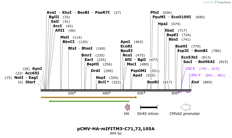 95789_map