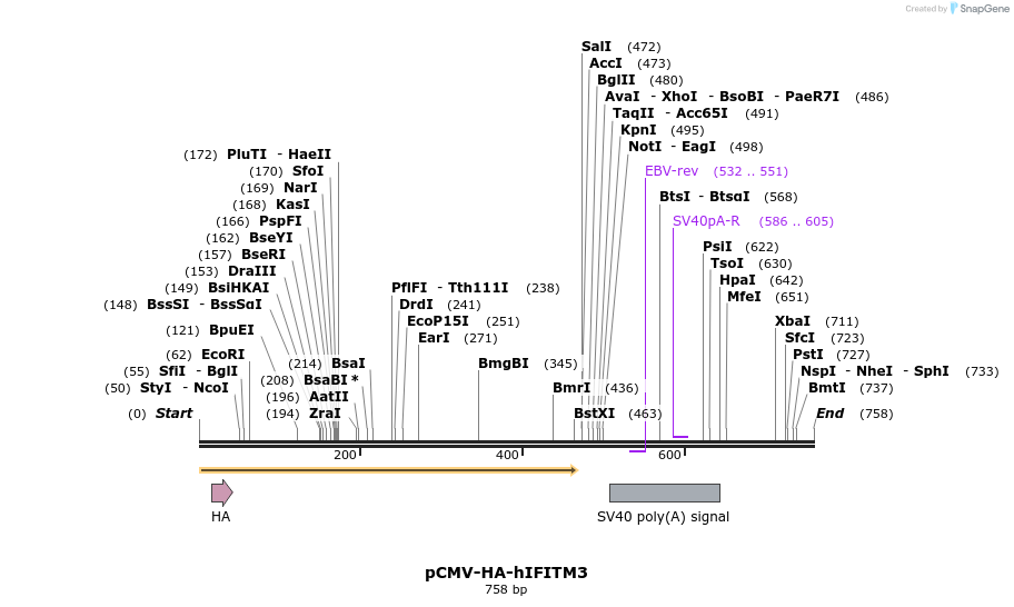 95792_map