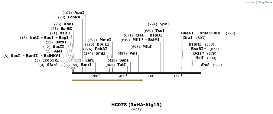 95794_map