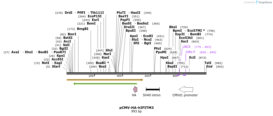 95795_map