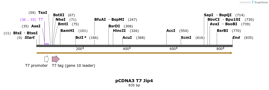 95798_map