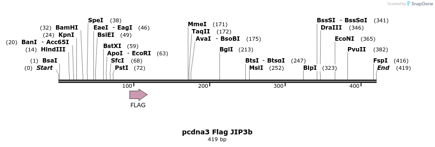 95800_map