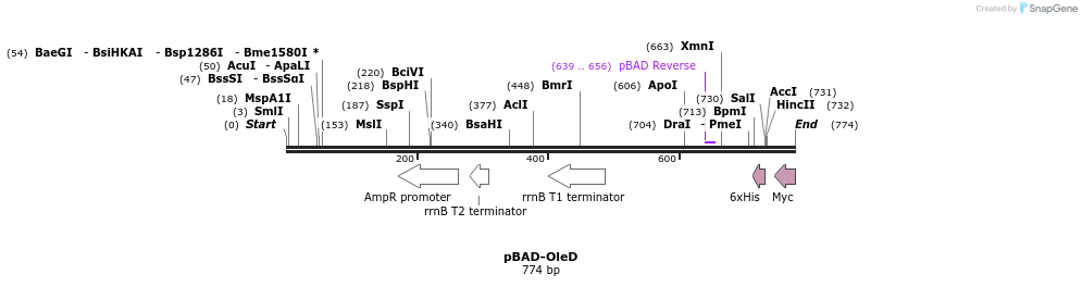 95808_map