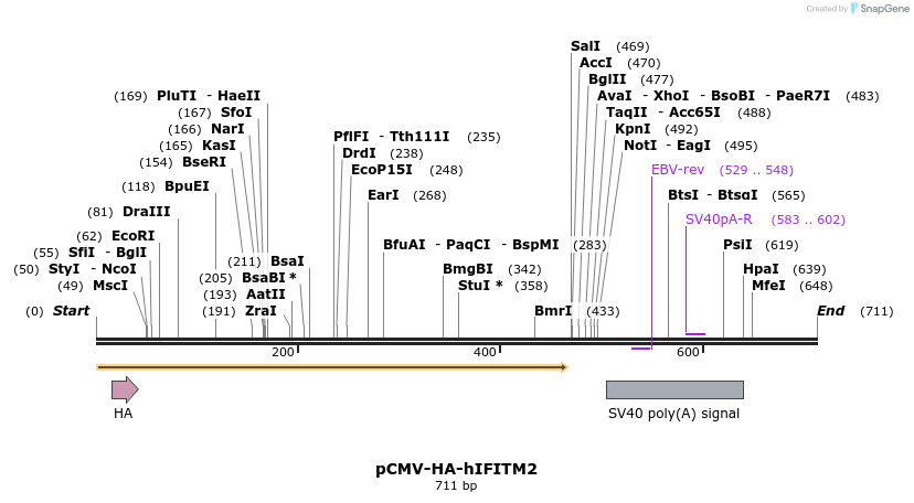 95809_map