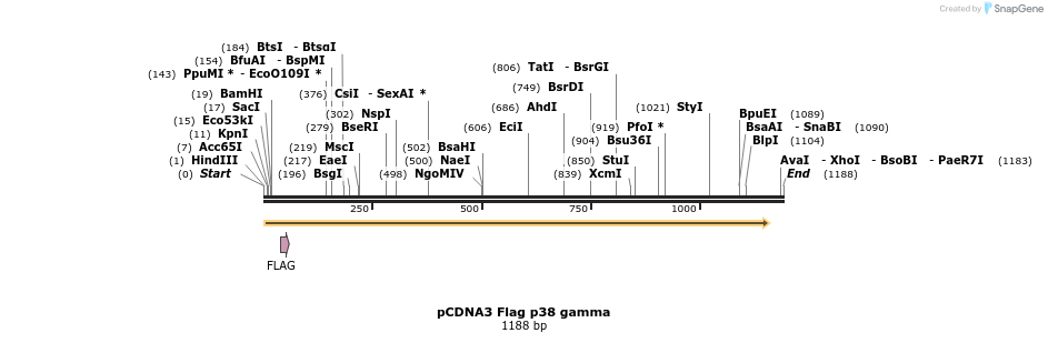 9581_map