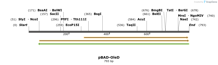 95810_map