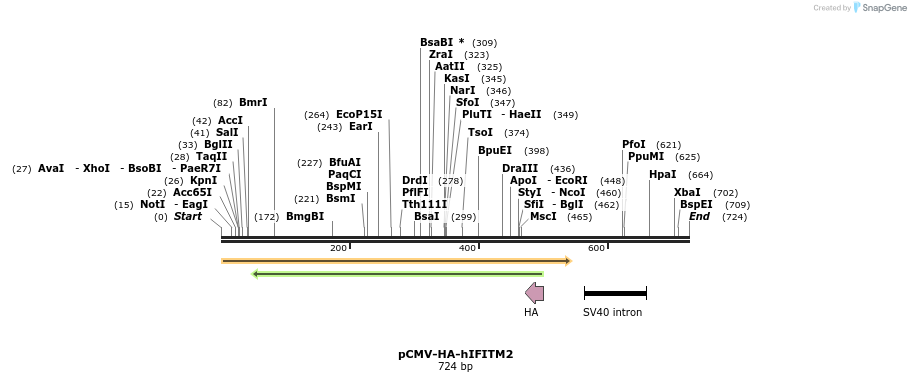 95811_map