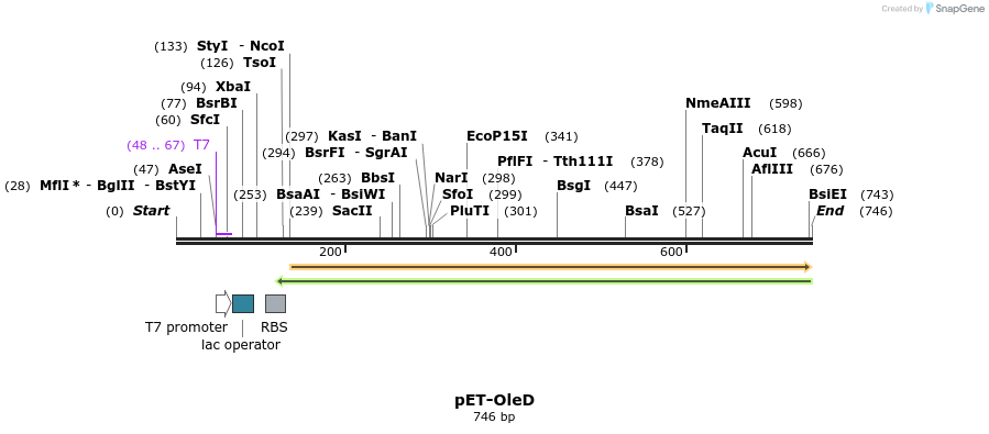 95813_map