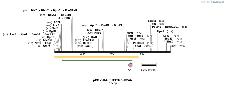 95814_map