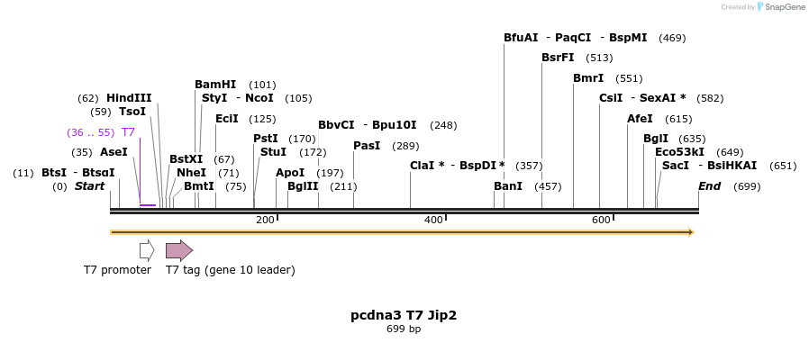 95816_map
