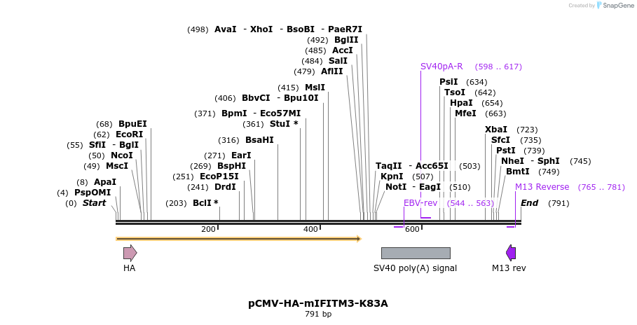 95818_map