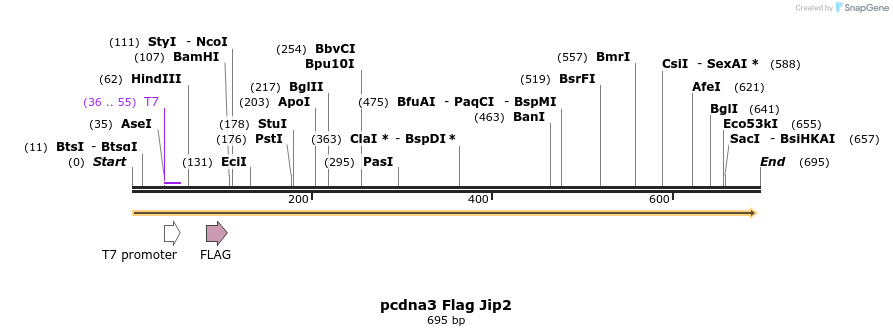 95819_map