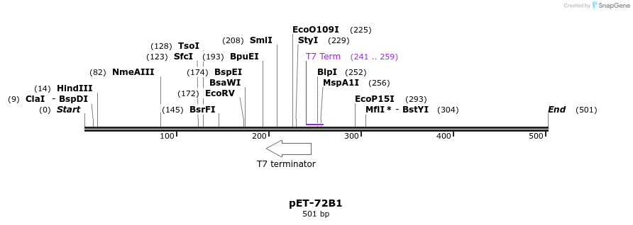 95823_map