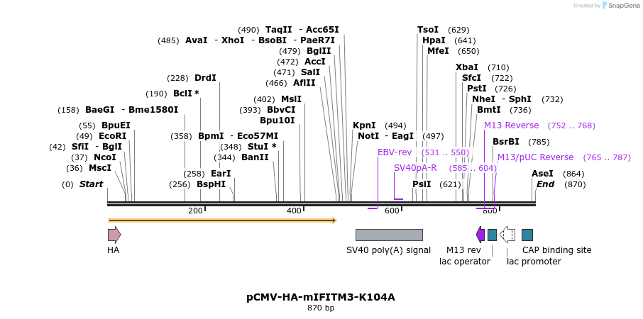 95830_map