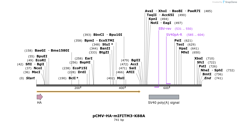 95833_map