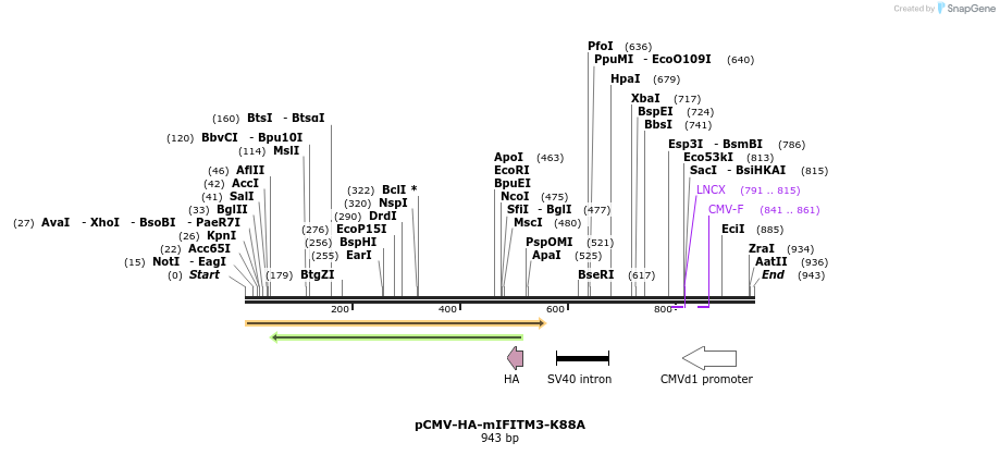 95835_map