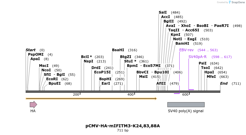 95836_map