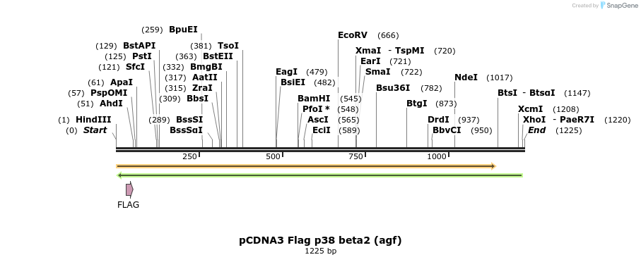 9584_map