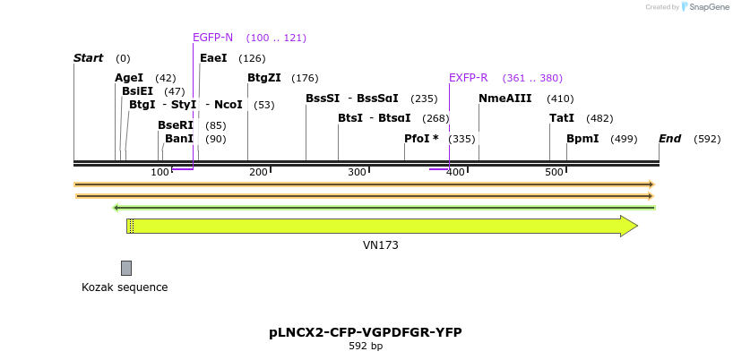 95841_map