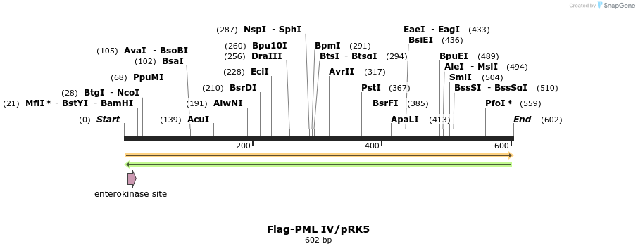 95842_map