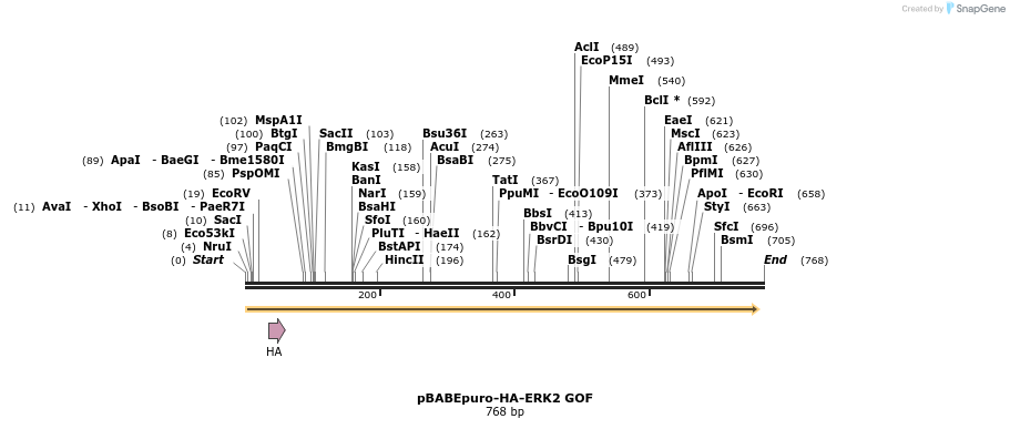 95849_map