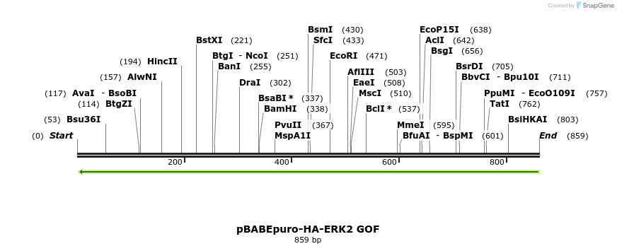 95854_map