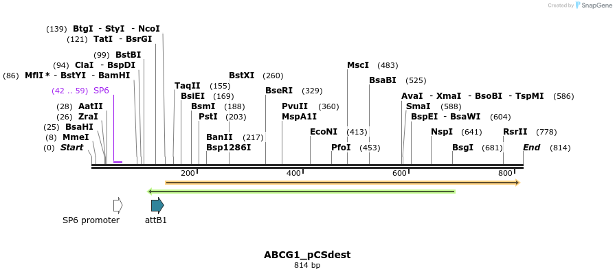 95858_map