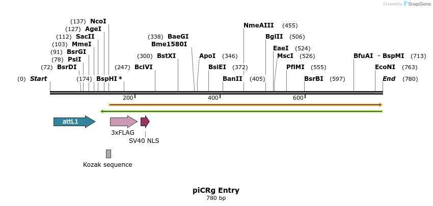 95859_map