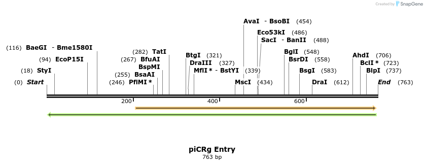 95862_map