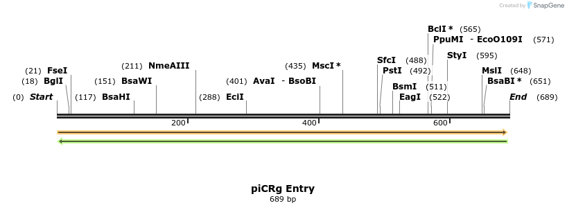 95863_map