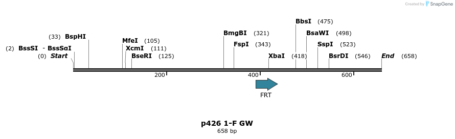 95865_map