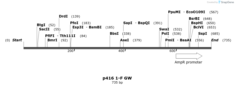 95866_map