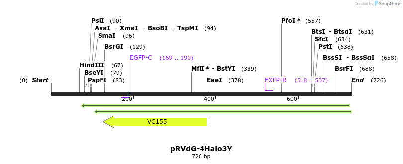 95870_map