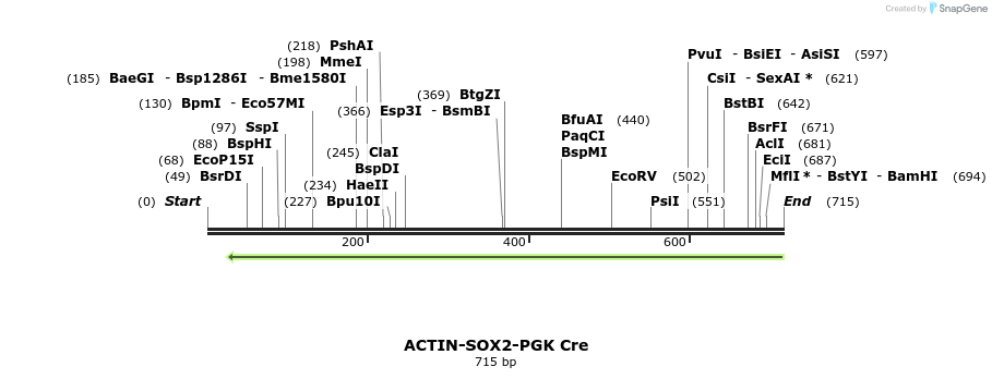 95871_map