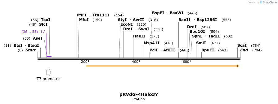95872_map