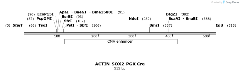 95873_map